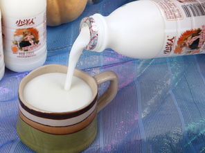 小洋人黃桃味發酵型乳酸菌奶飲品 200ml即飲型無酒精飲料的活力之選