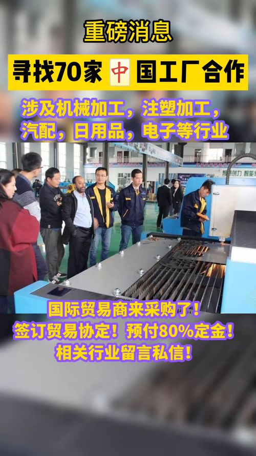 從國內(nèi)貿(mào)易代理到跨境電商 數(shù)字化浪潮下的轉(zhuǎn)型與機遇